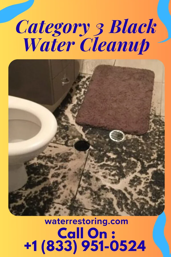 Category 3 Black Water Cleanup in Westwood Shores, TX