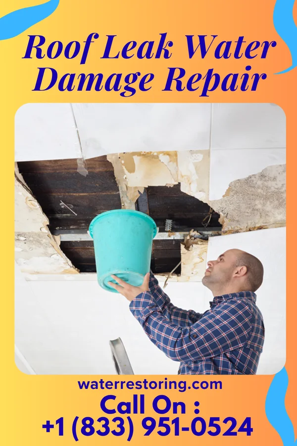 Roof Leak Water Damage Repair in Westwood Shores, TX